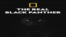 Black Panther   full movie : Link in Description