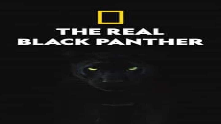 Black Panther   full movie : Link in Description