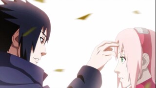 Sasuke x Sakura | A Sakura Romance