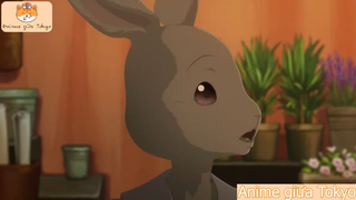 Beastars: Thế Giới Người Thú「AMV」Đã từng ᴴᴰ #anime #schooltime