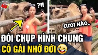 Tin 3 Phút Hài | Tổng hợp tình huống 'HÀI ĐỘNG VẬT' không cười không lấy tiền P46