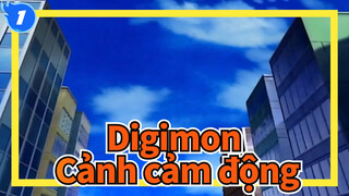 Digimon|【Mùa I】Cảnh cảm động_1