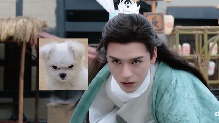[Remix]Similarities between Gong Jun and cute dogs