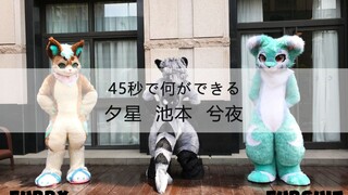 【兽装舞蹈】⭐45秒で何ができる⭐ 夕星&池本&兮夜【有彩蛋】