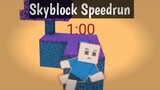 Skyblock Speedrun | World Record | Blockman Go Blocky Mods