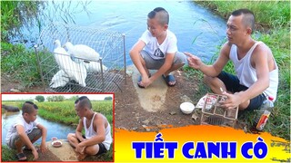 Tiết Canh Cò - Mao Đại Ca Thử Sức Đánh Tiết Canh Cò Kết Quả Sẽ NTN ?