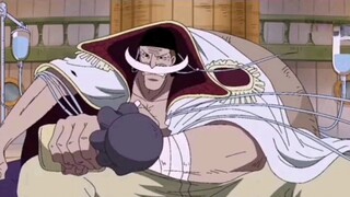 [One Piece] Datang dan temui Ayah!