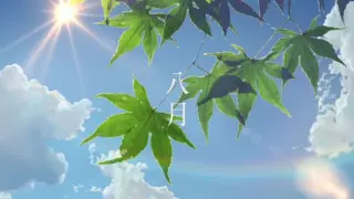 【Makoto Shinkai/Healing Direction】About Summer/ RADWIMPS - 夏のせい/ Blame Summer