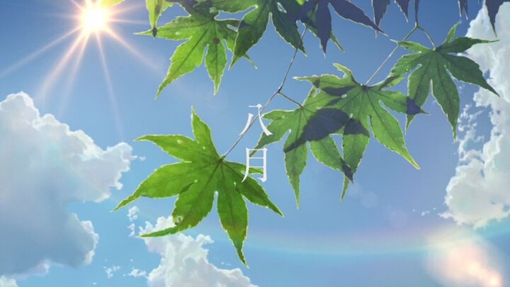 Makoto Shinkai/Arah Penyembuhan】Tentang Musim Panas/ RADWIMPS - / Blame Summer