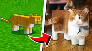 كيف راح تكون ماين كرافت اذا كانت بالعالم الحقيقي | Real Life Minecraft