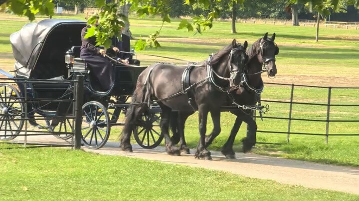 [Tur Kuroshitsuji UK] Apa yang kamu lakukan, Kuroshitsuji, ayo kita jalan-jalan