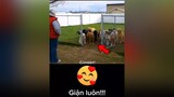 funny cười funnyvideos tiktok dog cho yeucho