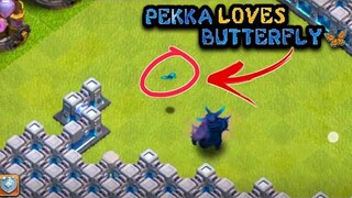 PEKKA LOVES BUTTERFLY🦋🦋🦋