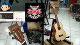 Ukulele Mint Classic Design  Oak wood