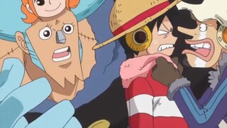 Pembentukan Aliansi Luffy dan Trafalgar Law