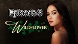 wildflower episode 3 full episodes // English sub//Philippines //