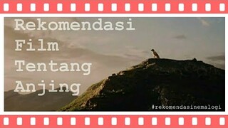 Rekomendasi Film Tentang Anjing