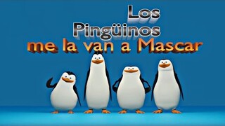 Los Pingüinos me la van a Mascar...