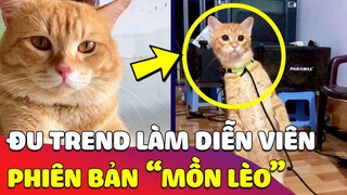 Bé Mèo 'ĐU TREND' năm 90 mấy tôi làm diễn viên đóng Tivi nổi tiếng nhưng mà 'NÓ LẠ LẮM' 😎 Gâu Đần