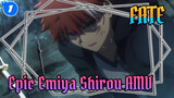 Fate|Epic Emiya Shirou AMV: For virtue and vice, he is always the man with sword_1