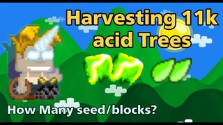 Growtopia Harvesting 11k Acid trees 10dls to 200dls #5