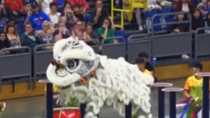 Don’t go, don’t go – repost this cute lion dance to welcome the new year!