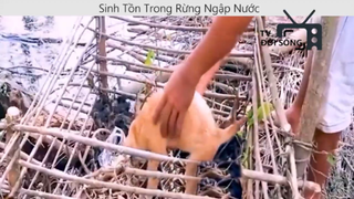 Sinh tồn trong rừng ngập nước p4