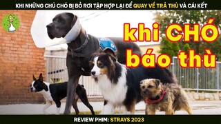 [Review Phim] Khi Những Chú Chó Bị Bỏ Rơi Tập hợp Lại Để Quay Về Trả Thù Và Cái Kết