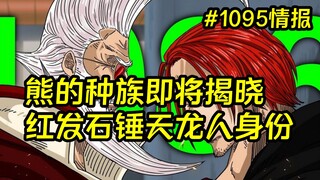 熊种族公布，年轻时候的神之骑士团司令官模样揭晓，海贼王漫画1095话情报