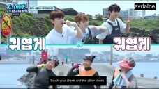 CAMP ZB1 EP. 3 (ENG SUB) END