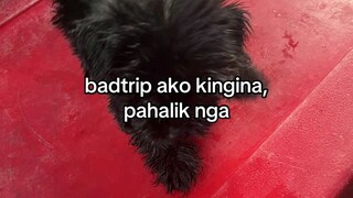 .