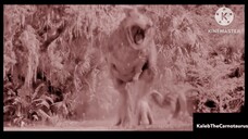 Desverse Fan Made Male Carnotaurus Watchtower 2020 Screen Time All Scenes Pack