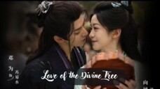 🌺Love.of.the.divine.tree EP04🌺