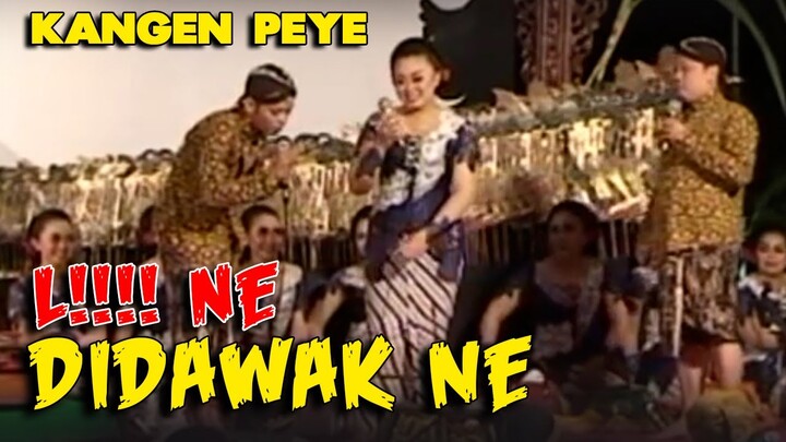 L!!!! Ne Di D4w4kne | Kompilasi KANGEN P3YE Lucu MASUK D3K