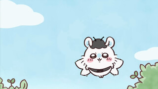 Mr. Flying Squirrel turned into a fairy