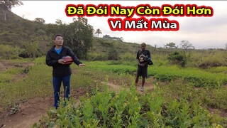 Một năm mất mùa rau cải của bà con Angola||2Q Vlogs Cuộc Sống Châu Phi