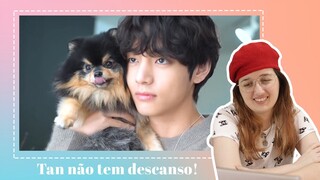 REAGINDO À 'BTS NÃO DEIXA O YEONTAN DESCANSAR'