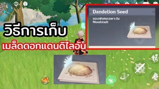 วิธีเก็บ dendelion seed | genshin impact