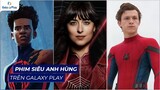 Bùng nổ phim siêu anh hùng trên Galaxy Play | Madame Web, Spider-man, Venom,...
