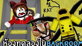 ห้องทดลองใน BACKROOM Roblox