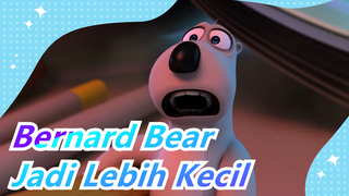 Bernard Bear|Lebih Kecil Setelah Kesetrum?