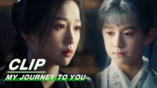 Yun Weishan's Identity is Questioned by Xue Chongzi | My Journey to You EP07 | 云之羽 | iQIYI