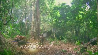 Mulawin vs Ravena-Full Episode 12