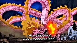 momen bangkitnya momonosuke dan Luffy