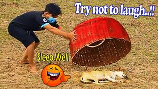 Giant Basket Prank Sleep Dog Make Funny - Try not to laugh 2021