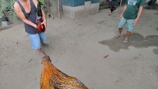 Kayo na bahala