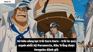 Top 7 Lão Già Trâu Trong One Piece #30- 11