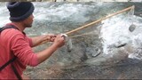 net fishing in Nepal | himalayan trout fishing | asala fishing |