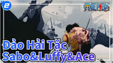Đảo Hải Tặc|【Sabo】Để Luffy cho tôi, Ace_2
