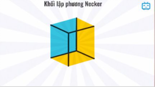 Bạn Có Bị Những Ảo Ảnh Quang Học Này Đánh Lừa Không ? #kienthuc